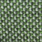 Cactus +€16