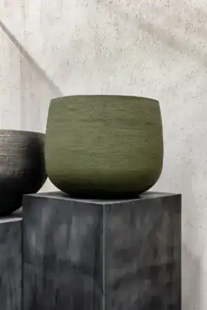 Domani Graz - Natural Swamp